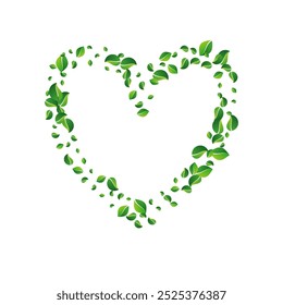 Green Leaves Transparent Vector White Background. Herbal Foliage Pattern. Forest Leaf Fresh Design. Greens Forest Plant.
