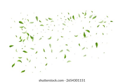 Green Leaves Transparent Vector White Background Border. Swirl Leaf Template. Lime Foliage Forest Branch. Greens Flying Illustration.