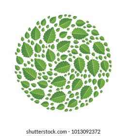 Green leaves of tree arranged in the shape of a circle. Design element, vector illustration, isolated on white background.