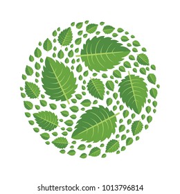 Green leaves of tree arranged in the shape of a circle. Design element, vector illustration, isolated on white background.