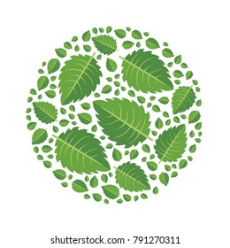 Green leaves of tree arranged in the shape of a circle. Design element, vector illustration, isolated on white background.