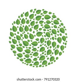 Green leaves of tree arranged in the shape of a circle. Design element, vector illustration, isolated on white background.