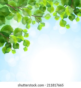 Green leaves, tree branches, vector summer background. Birch border foliage on blue sky backdrop
