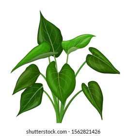 Green LEaves Tree Cartoon for your design