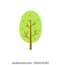 Árbol de hojas verdes aislado sobre fondo blanco.	