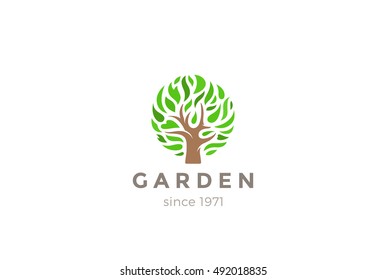Green Leaves Tree Logo design vector template.
Eco Garden symbol Logotype concept icon.