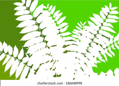 Green leaves of the tree. Vector