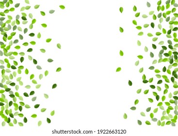 Green Leaves Tree Vector Concept. Flying Foliage Pattern. Swamp Greens Forest Poster. Leaf Nature Banner.