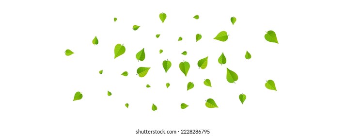 Green Leaves Tree Vector Panoramic White Background Branch. Swirl Leaf Concept. Forest Foliage Transparent Backdrop. Greens Fly Wallpaper.