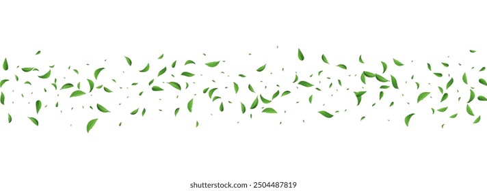 Green Leaves Tree Vector Panoramic White Background Poster. Ecology Greens Illustration. Mint Foliage Herbal Plant. Leaf Abstract Brochure.