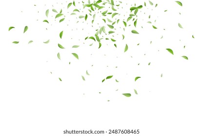 Green Leaves Tree Vector White Background Wallpaper. Flying Leaf Backdrop. Swamp Foliage Forest Border. Greens Ecology Plant.