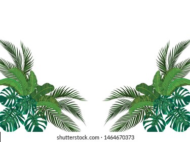 The green leaves of the tropical palm trees are symmetrical on the sides. Monstera, agave, banana. Vector illustration