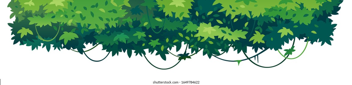 Green leaves of tropical trees with lianas placed on top isolated, decorative composition of sample jungle plants on one side, dense vegetation of the jungle, topical forest plants