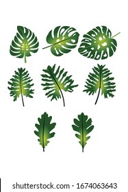 green leaves, tropical leaves vector