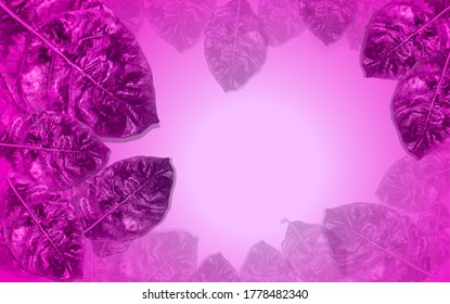 Green leaves used to make the background as a vector eps 10