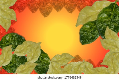 Green leaves used to make the background as a vector eps 10