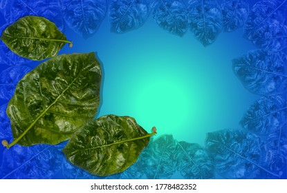 Green leaves used to make the background as a vector eps 10