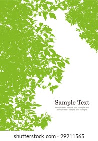 green leaves vector