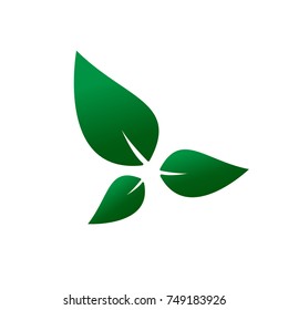 Green leaves vector