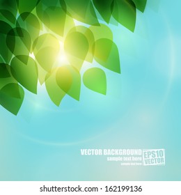 Green leaves vector background