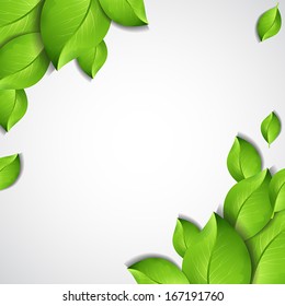 Green leaves - vector background
