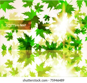 Green leaves vector background