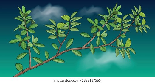 green leaves vector for background design.