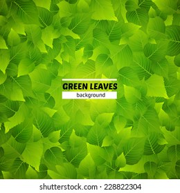 Green leaves vector background. Texture illustration. 