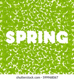 Green leaves vector background. Texture illustration. Spring.