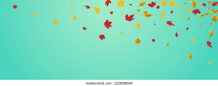 Green Leaves Vector Blue Panoramic Background. Collection Plant Texture. Golden Isolated Floral Card. Decoration Illustration.