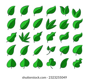 Green Leaves Vector Collection Set