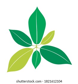 green leaves  vector design. nature ornament