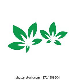 green leaves vector design symbol. perfect for nature logo and herb ornaments