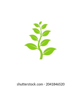 Green leaves vector icon isolated on white background. Vector illustration