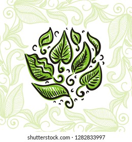 Green leaves. Vector illustration