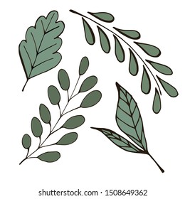 Green leaves - vector illustration