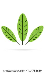 green leaves. Vector illustration