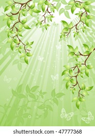 green leaves, vector illustration