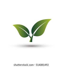 Green leaves - vector illustration
