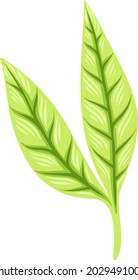 Green leaves. Vector illustration Ecology, natural trend.