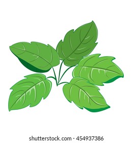 Green leaves Vector illustration. 
Eps 10