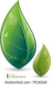 Green leaves, vector illustration, eps-10