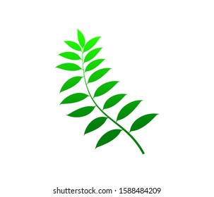green leaves vector illustration, natural medicinal plant icon