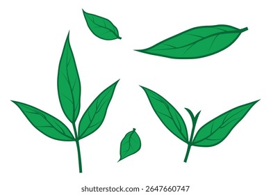 Green leaves vector illustration set for botanical designs. Nature-themed leaves illustration for creative projects.