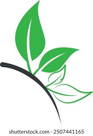 Green leaves vector logo. Vector ecology elements for banner, presentation, web page, card, labels or posters