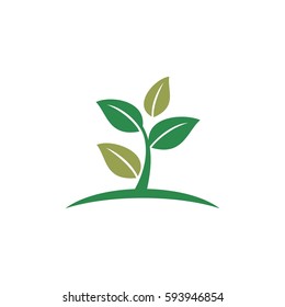 Green Leaves vector Logo Template Illustration Design. Vector EPS 10.