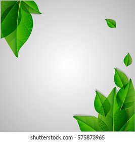 Green leaves vector on background.