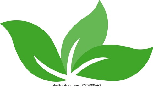 green leaves in vector pattern on white background
