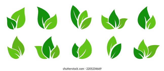 Green leaves vector set - Collection of flat leaf design on white background. Environmental friendly end ecology concept.