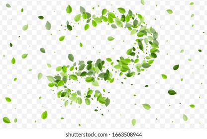 Green Leaves Vector Wallpaper. Grassy Greens Tea Illustration. Spring Brochure. Swamp Foliage Swirl Background.